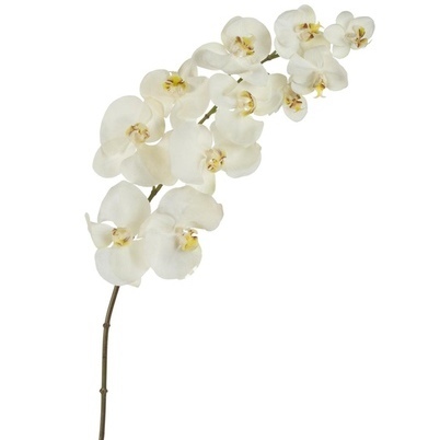 Орхидея (фаленопсис) - аренда искусственных цветов